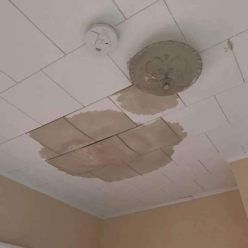 Ceiling Water Damage Repair in Hartford, SD
